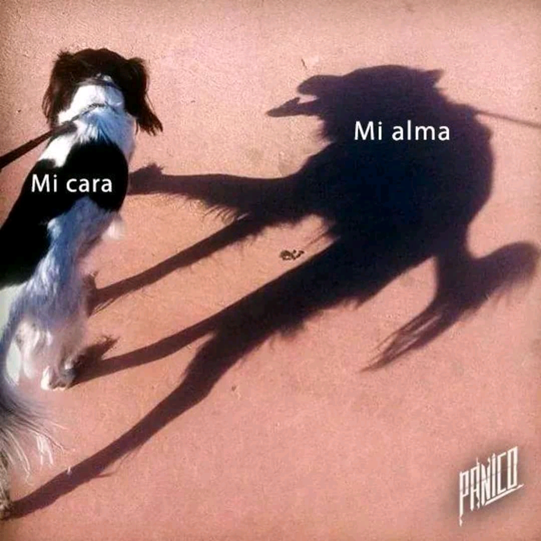 El link de la
          imagen se ha roto, pon los monos a trabajar!